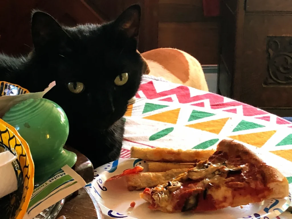 You can leave your lunch right here and I promise to protect it for you!