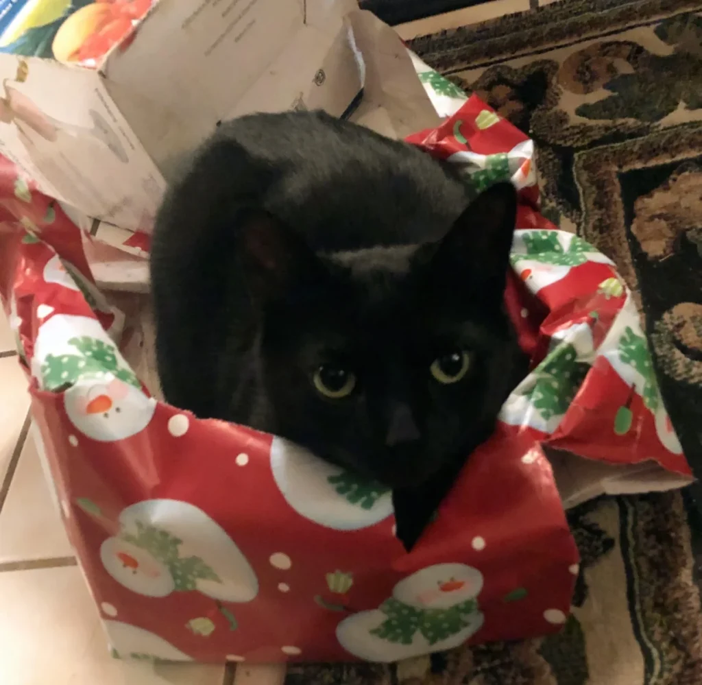 The best gift is when you give of yourself or, in Panther's case, when you give yourself!