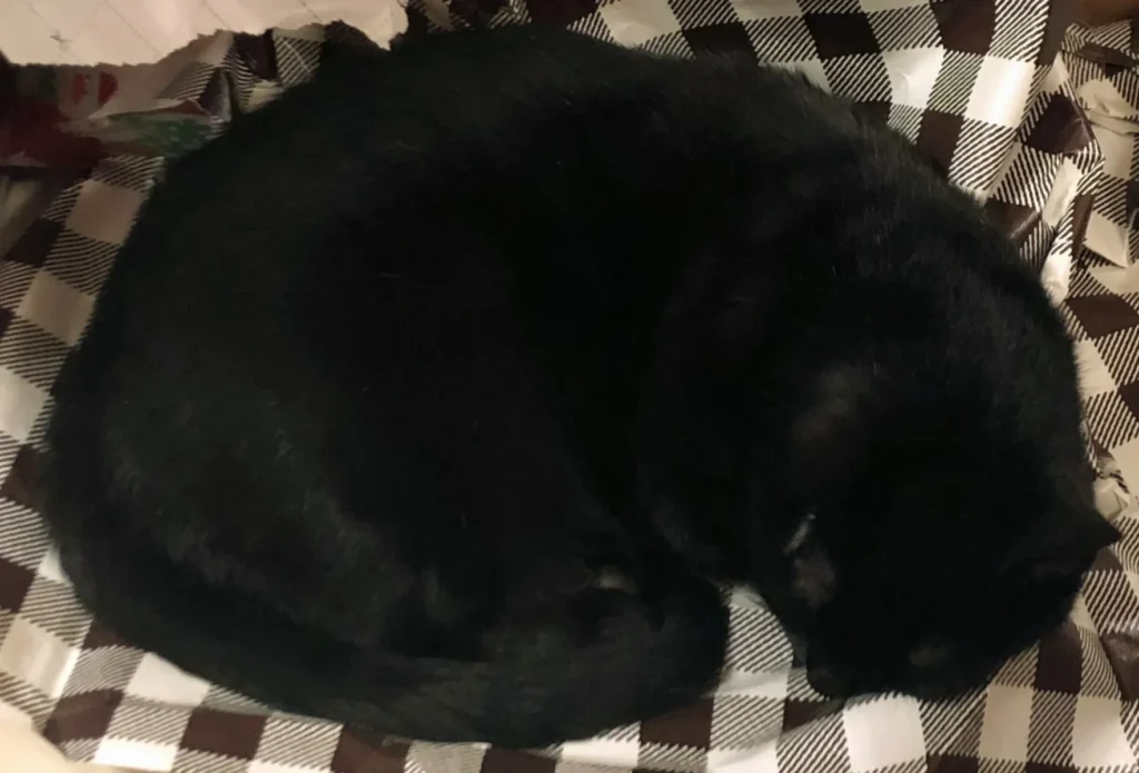 The holidays are especially stressful for mascots!