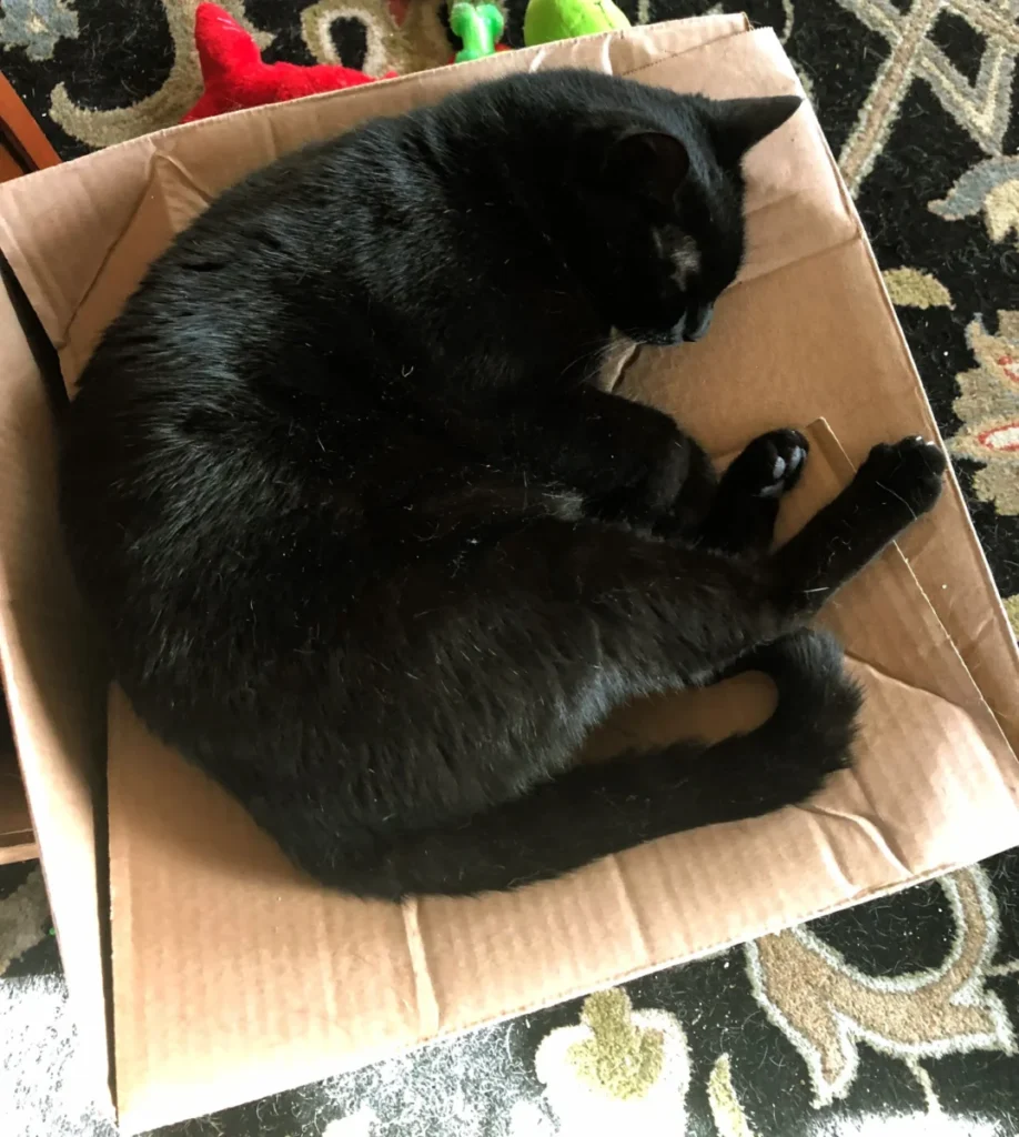 Quality control is exhausting!!