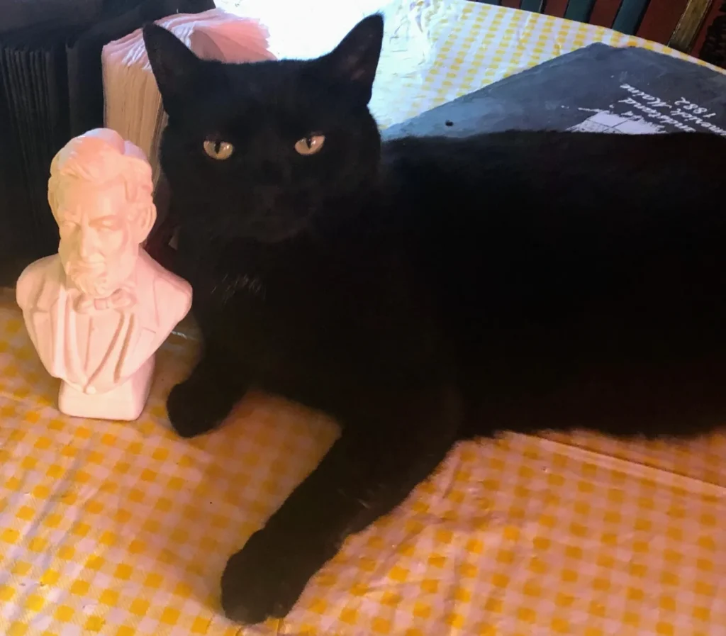 Hanging with our cousin, President Abraham Lincoln!