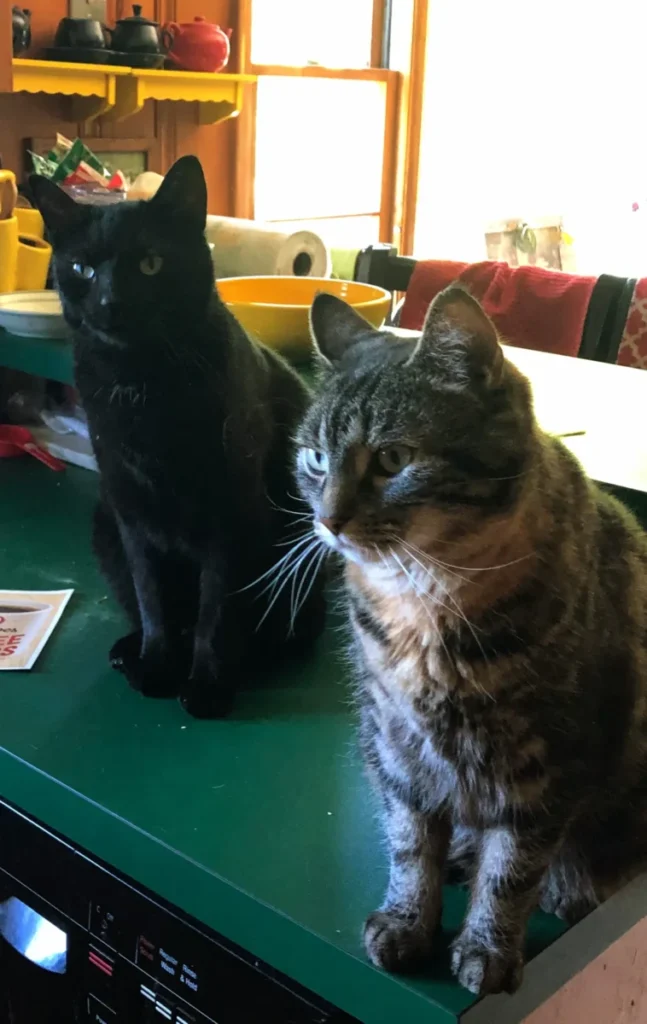 Again, very symmetrical!