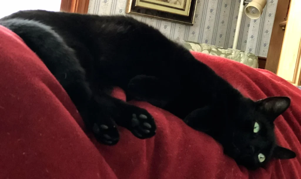 I'm really unsure as to what this is!