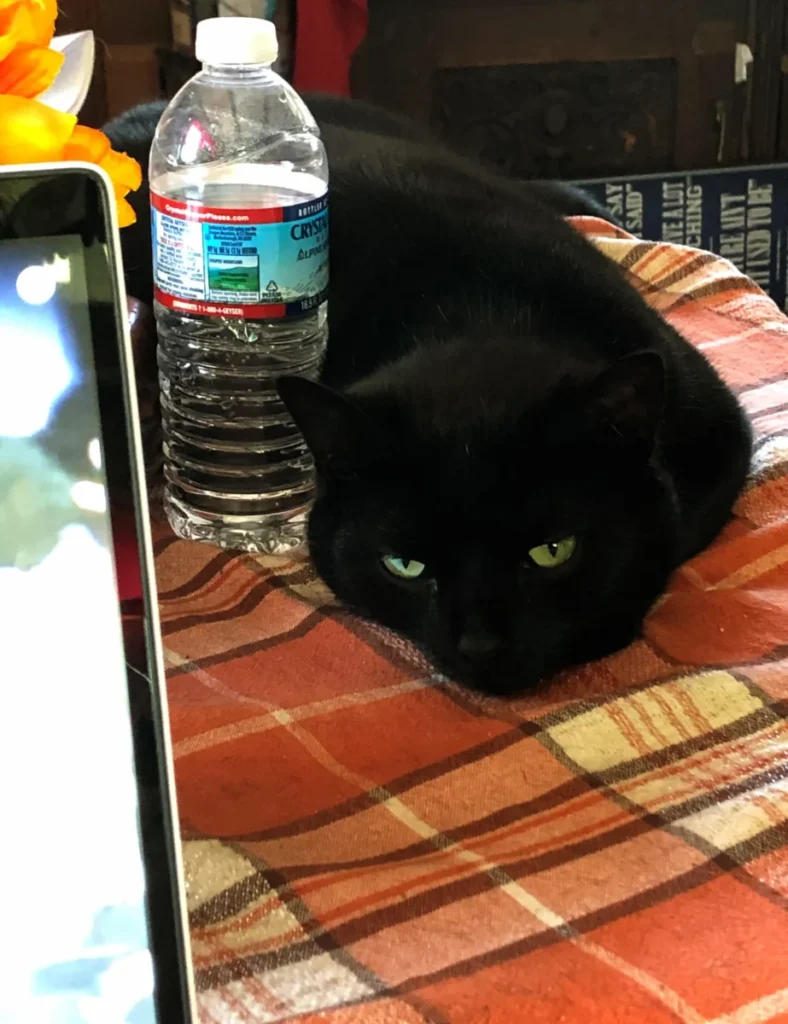 Overseeing work to make sure we adhere to quality standards!